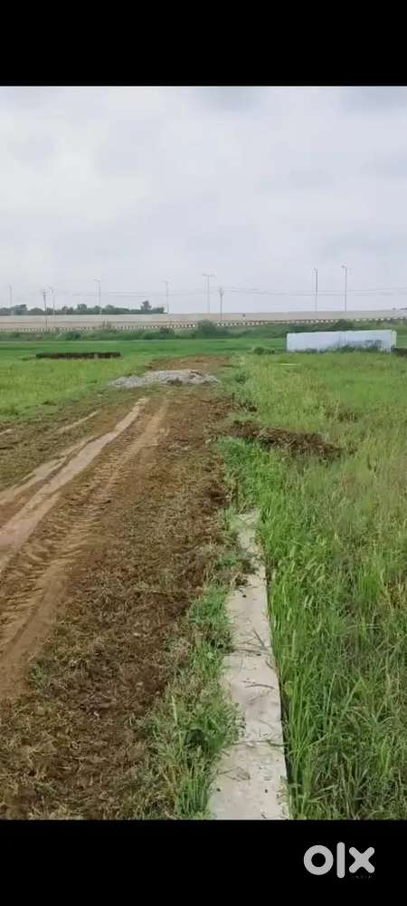 Near kanhauli on Road plots for sele