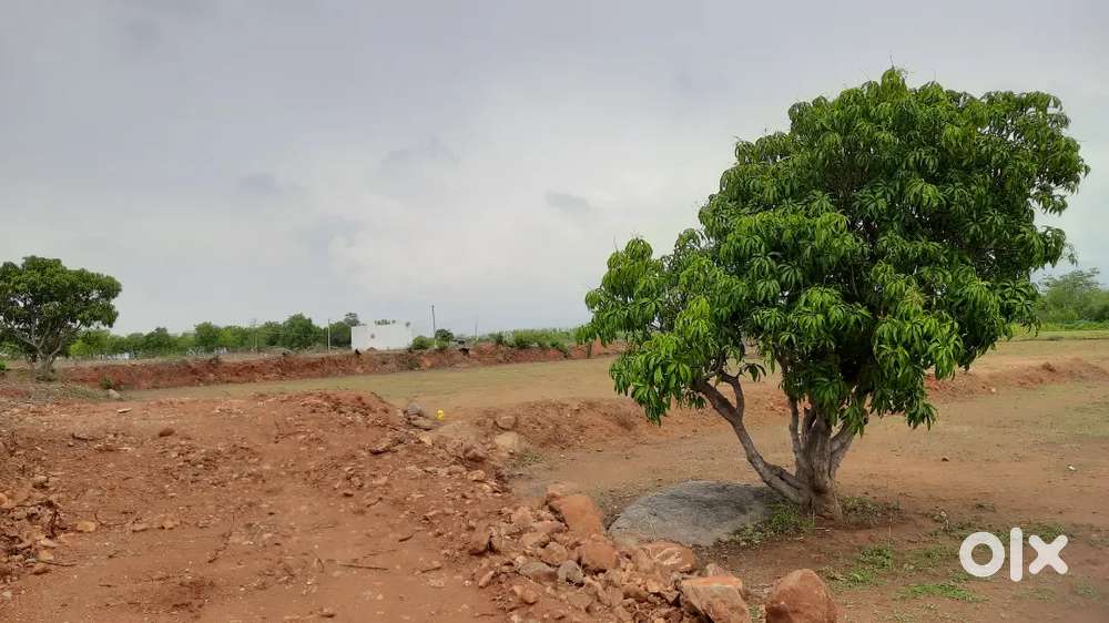 Farm land for sale near by salem-chennai NH Karipatti