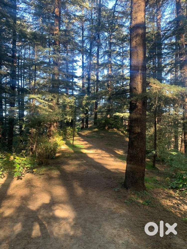 Personal assistant female only