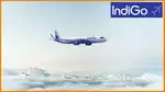 Indigo Airlines urgent hiring for ground staff jobs vacancy Available