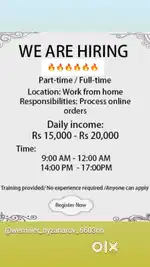Zero investment work from home