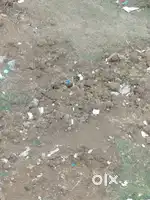 Open plot sell