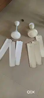 3 Havells Ceiling fan for sale