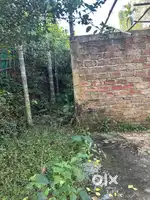 Eksoniya 1 kotha 5 lessa