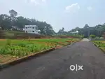 House plot for Sale in Muvattupuzha