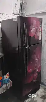 Double Door Refrigerator for Sale