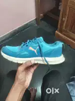 Puma og shoe