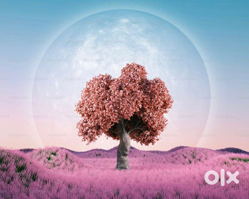 Work Available – Rolls Shop Staff Needed