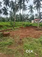 മെഡിക്കൽ കോളേജ് ഹൗസിംഗ് കോളനിയിൽ 5.5 സെന്റ് പ്ലോട്ട്!