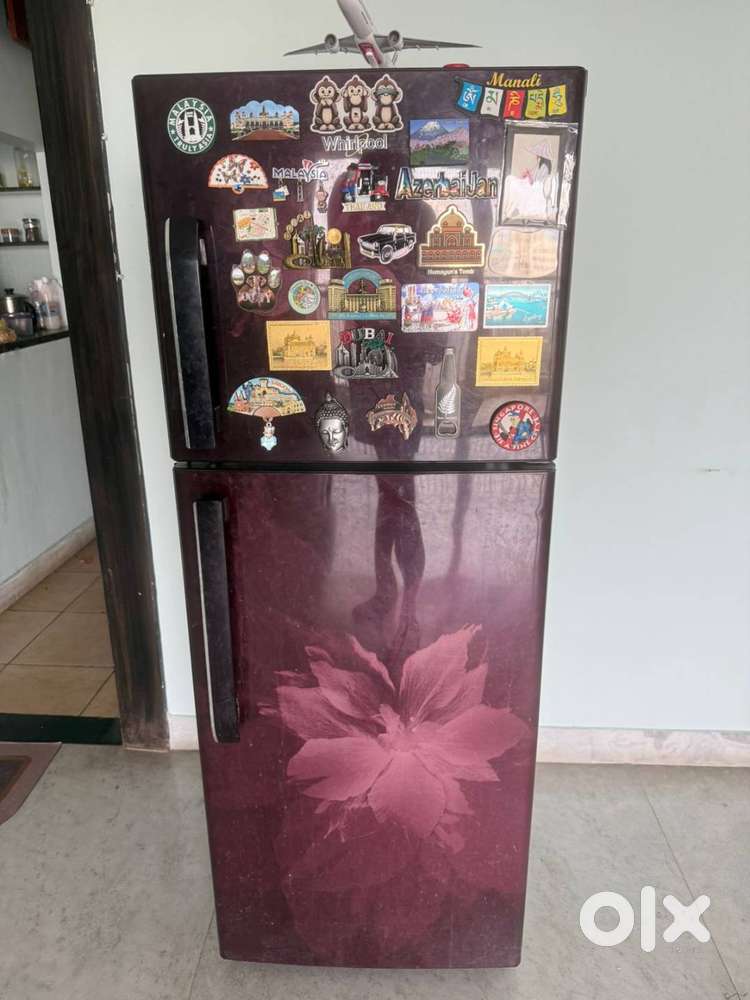 Whirlpool 235 L Frost-Free Double Door Refrigerator