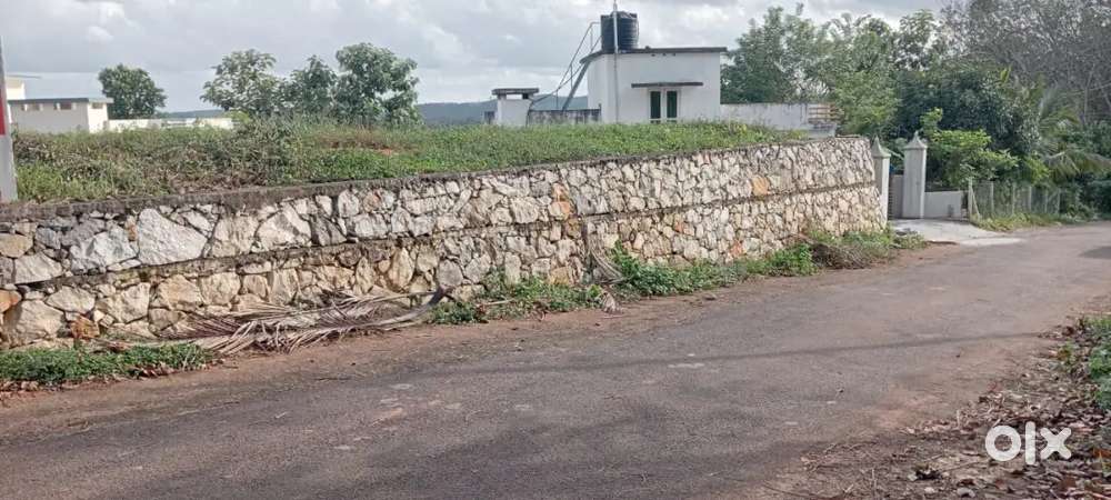 മണിയാറ്,പറവട്ടം 23സെന്റ് വസ്തു വിൽപ്പനയ്ക്ക്