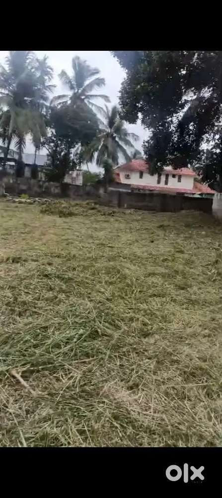 പ്ലോട്ട് മേടിക്കാൻ ആയി മാത്രം വിളിക്കുക