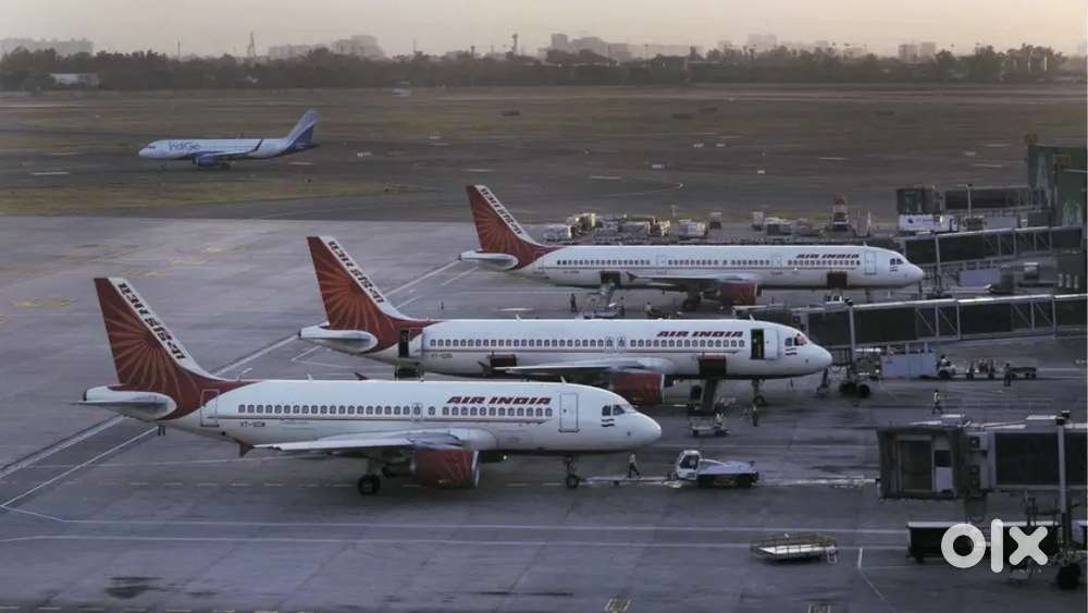 Urgent hiring for ground staff and driving job in gorakhpur Airport