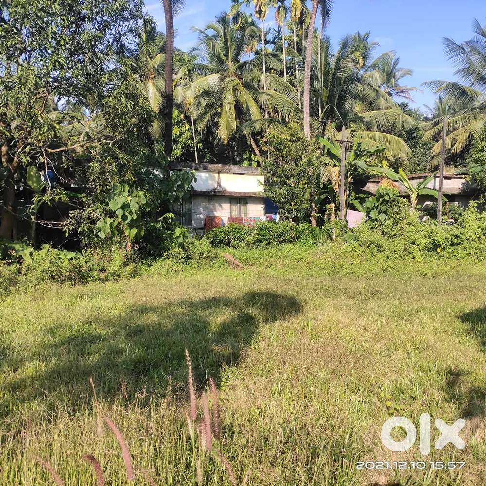 residential plot