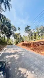 മീനങ്ങാടി നിന്ന് 4 കിലോമീറ്റർ മാറി വീട് നിർമിക്കാൻ അനുയോജ്യമായ സ്ഥലം