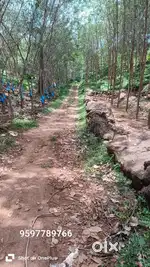 5 years old Rubber Land
