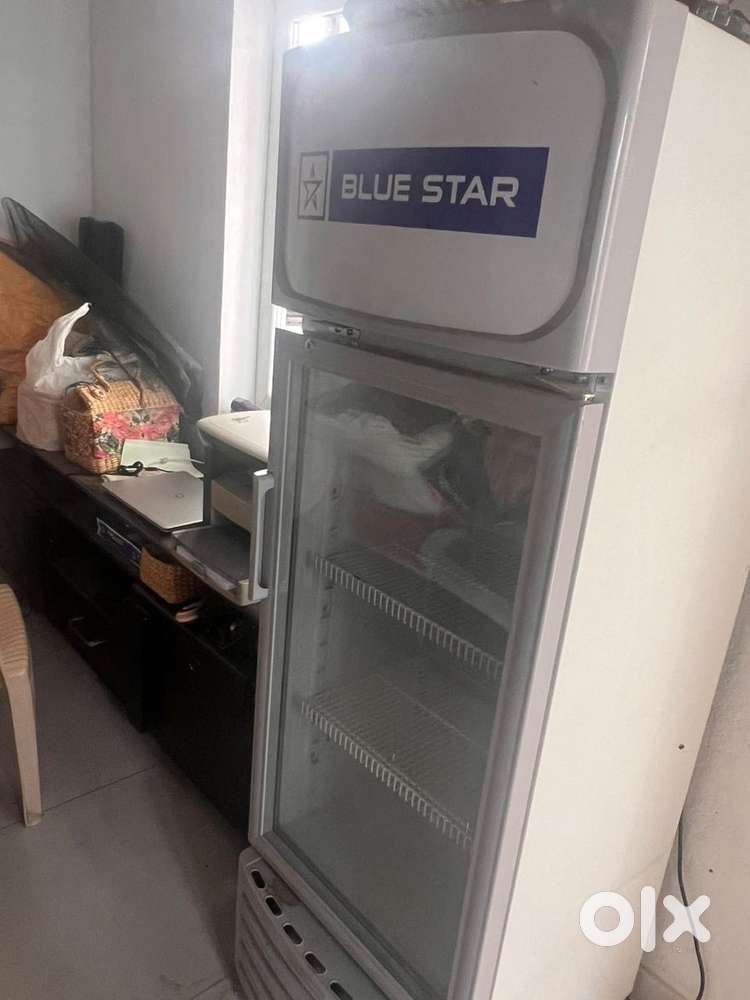 Blue star 190L Visi cooler
