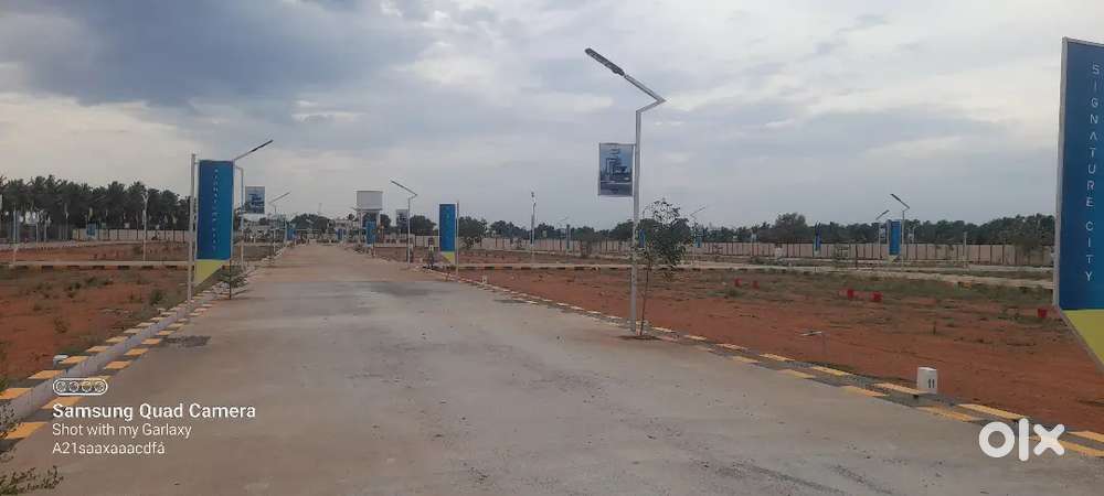 Ready to construct Dtcp approved plot for sale At muthanampatty DGL