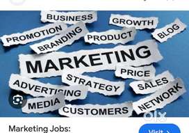 Marketing job for male candidates