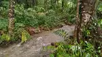 4 Acre Stream-Attached Land with Scenic Hill View – Mudigere