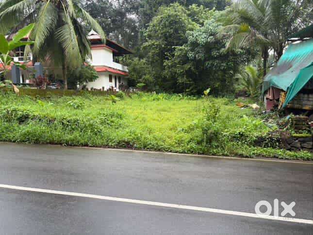 Highway frontage property near Muvattupuzha