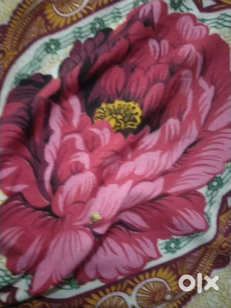 Marketing  in all Rajasthan