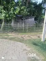 Mangaldai Babarghat. Garimari .10 lesa exsoniya land