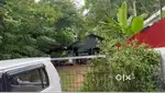 Plot for sale near New NH66 in Perinjanam, Kottamkulam Pulinchodu