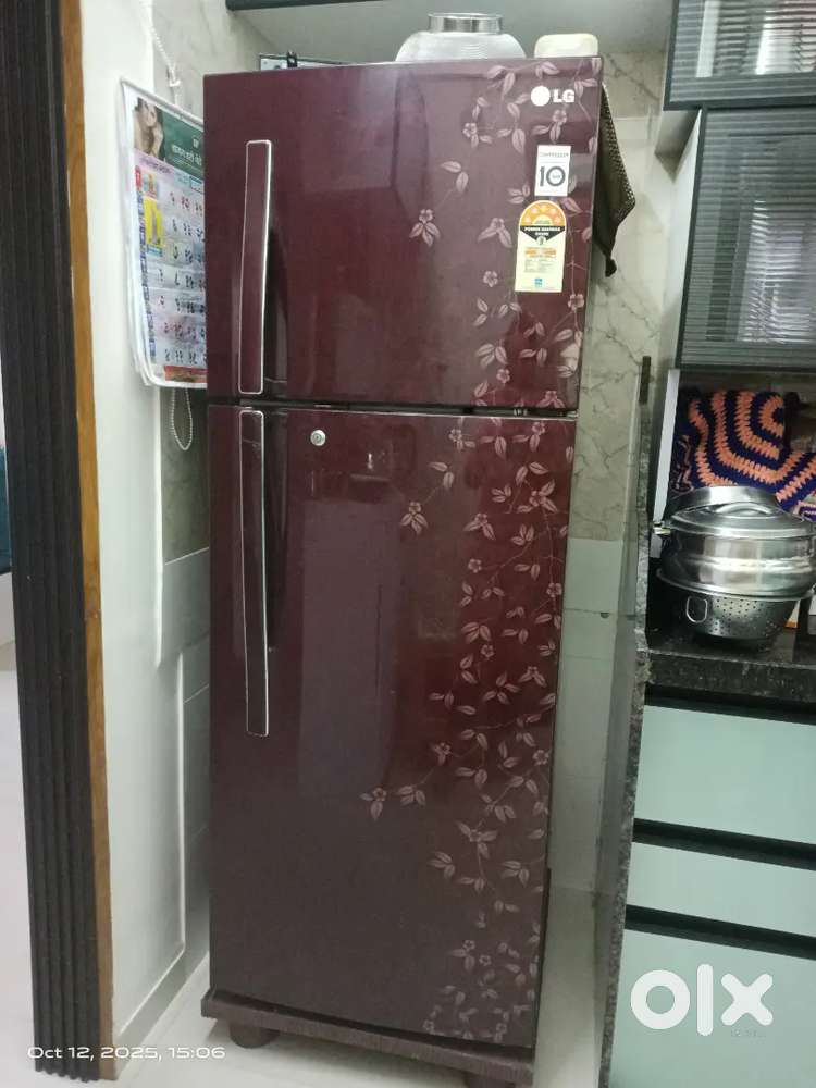 LG double door fridge