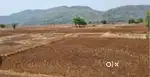 1.5 एकर शेत जमीन विकणे आहे पुरंदर इंटरनॅशनल एअरपोर्ट