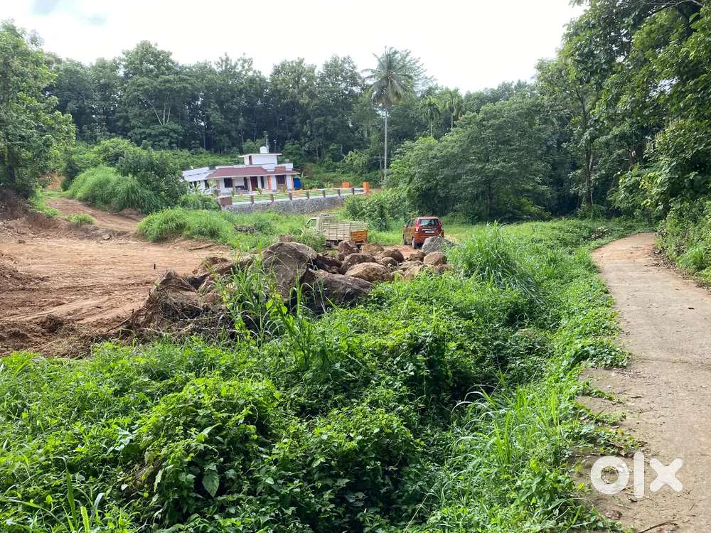 വീട് വക്കാൻ അനുയ്ജ്മായ സ്ഥലം അതും വടക്കഞ്ചേരി പാലക്കാട്‌ സാമിപ്യം