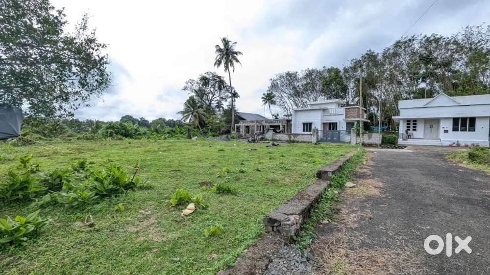 Cochin Airport Side 15 Cent Premium Plots-Free Reg -90% Loan-NH Access