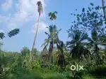 20 cent plot for sale, 2 km from AJ college (Thonnakkal junction),