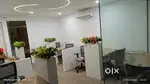 Glass Film, Windows Blinds, Carpets, PVC Panel