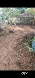4½ cent plot for sale