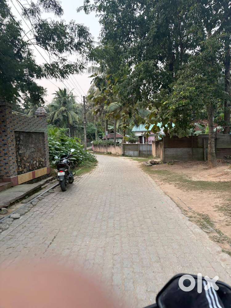 1 bigha land for sale