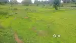 Land for sale, at-sundergarh SC PLOT(at -Lephripada)
