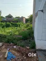 Stone Park Fruit Mandi Ke Samne
