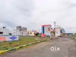 Double the amount from 2 to 3 years best investment come house plots