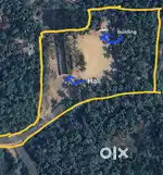 2.5 acres for sale at Chelannur