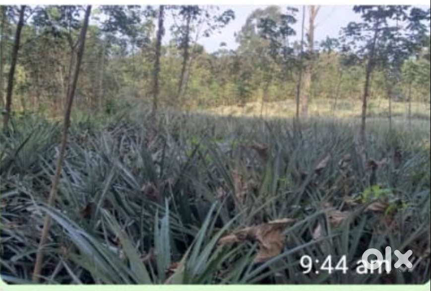 1.70 Acre land for sale