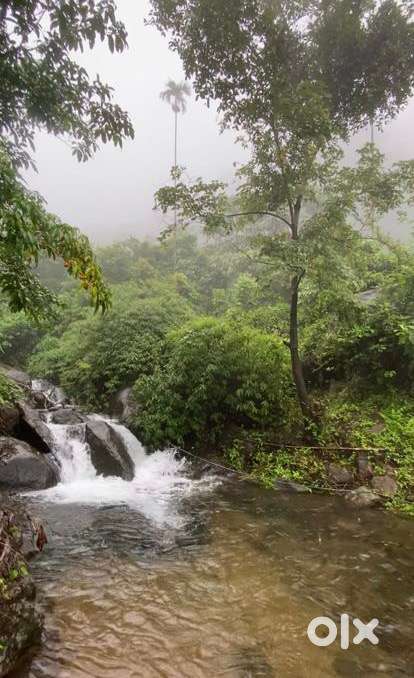 FARM LAND/AGRICULTURE LAND (6000 per Cent)