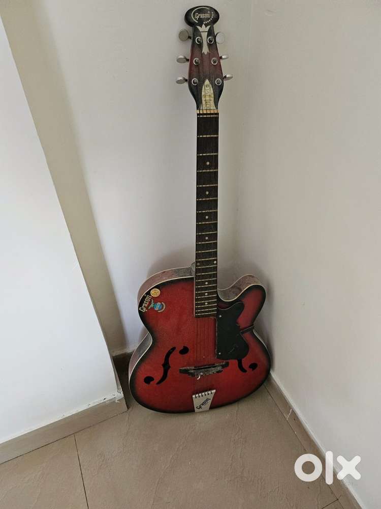 Musical instrument guitar