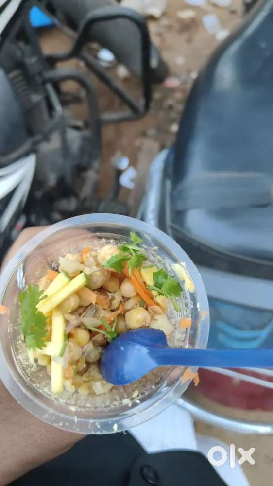 Parrotta master wanted.