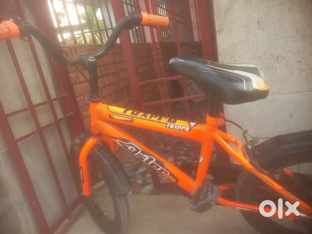 Foxpro bicycle