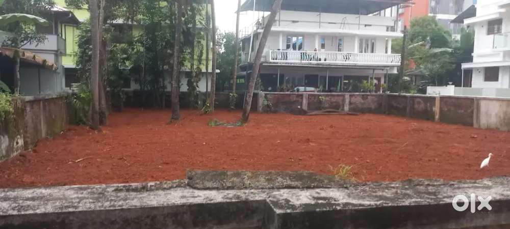 Trippunithura plot for lease