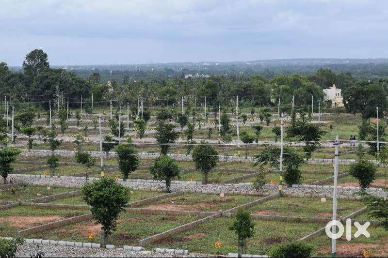 Special Offer Residential Plots for Sale