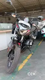 New model pulsar LOW KILOMETRE new bike arjent seal dual disc  and abs