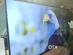 Sony Bravia 55 inch