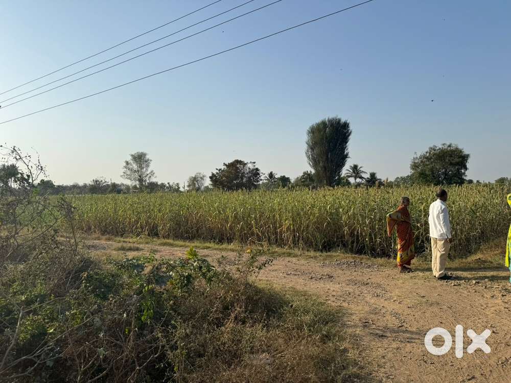 Exp person for organic farming